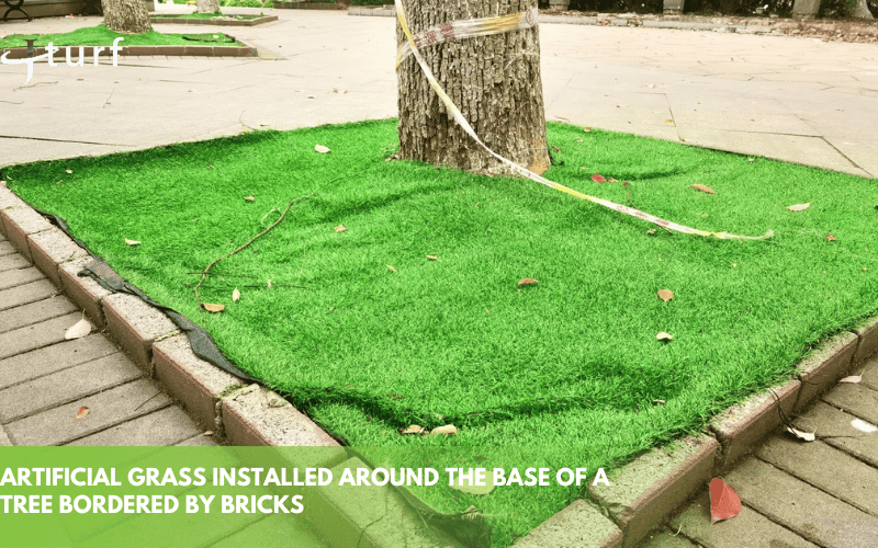 artificial grass installed around the base of a tree bordered by bricks