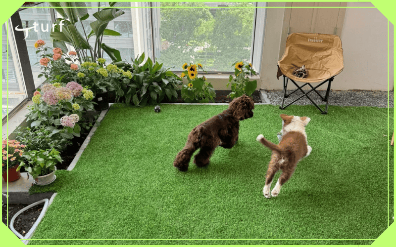artificial grass on concrete for dogs in pet friendly balcony