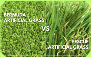 bermuda vs fescue artificial grass
