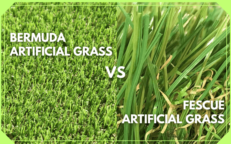 bermuda vs fescue artificial grass