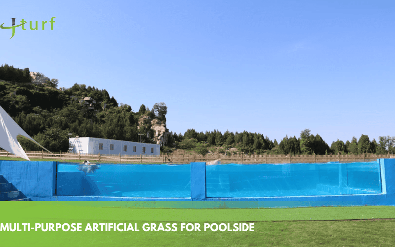 multi purpose artificial grass for poolside