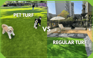 pet turf vs regular turf comparison showing dogs on play area and patio installation