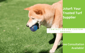 shiba dog playing with ball on artificial grass for dogs