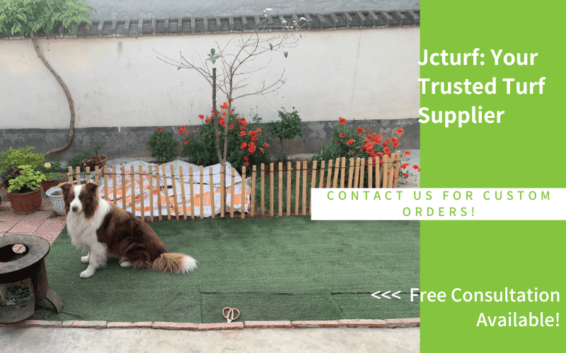 brown and white dog sitting on artificial grass in backyard garden