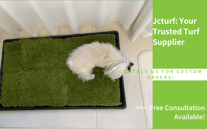 Un perro pequeño se encuentra sobre un trozo de césped artificial al lado de una cortina transparente, con un texto promocional visible en el costado.
