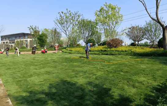 Landscaping Turf 3 artificial turf garden low-maintenance synthetic grass for park maintenance