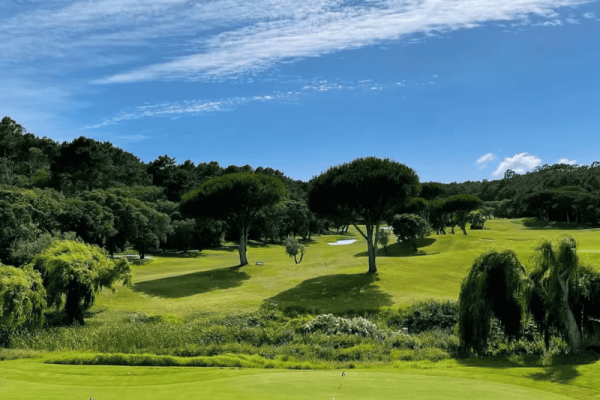 lush golf course with synthetic grass green surrounded by trees and clear blue sky for professional golf practice lush golf course with synthetic grass green surrounded by trees and clear blue sky for professional golf practice